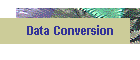 Data Conversion