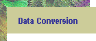 Data Conversion