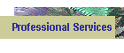 Professional Services