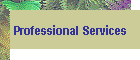 Professional Services